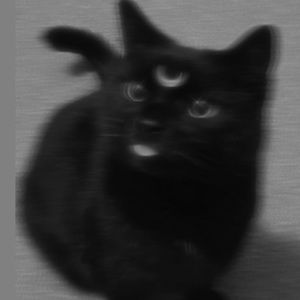 Meet your Posher, August